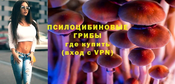jwh Белокуриха
