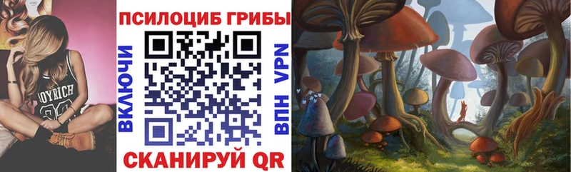 мега как зайти  Куровское  Галлюциногенные грибы GOLDEN TEACHER  где купить наркотик 